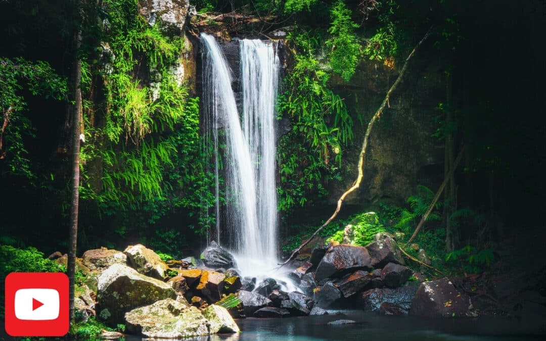 Uncovering the Hidden Beauty of Curtis Falls in Tamborine National Park – A Must-Do on the Gold Coast