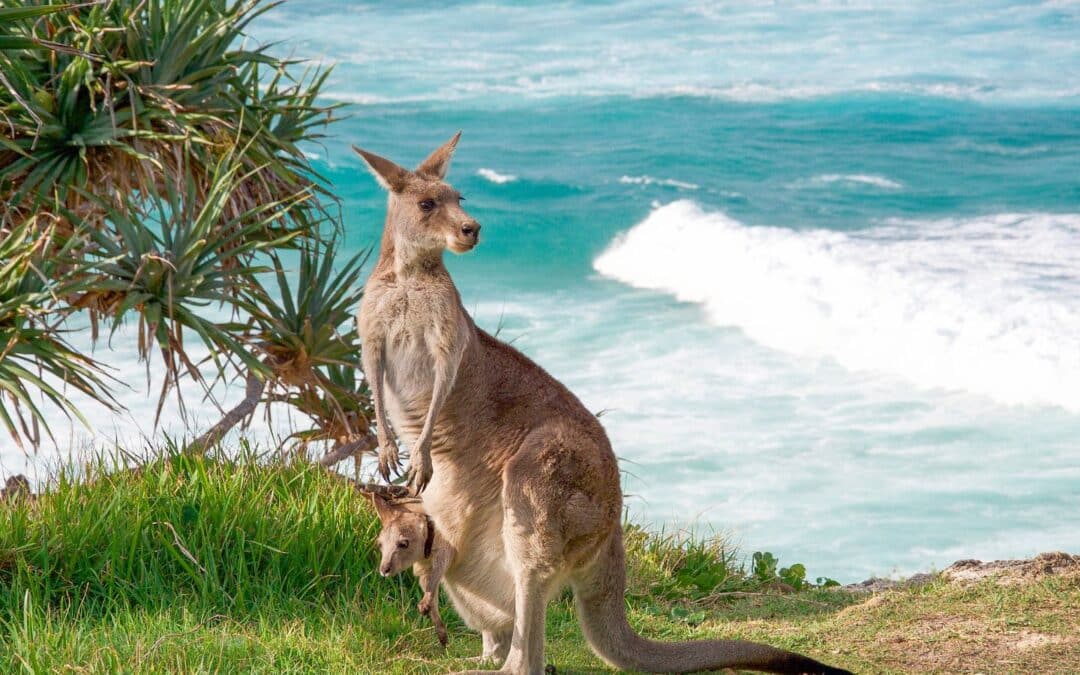 Queensland Travel: Your Ultimate Guide to Exploring the Beauty of Australia